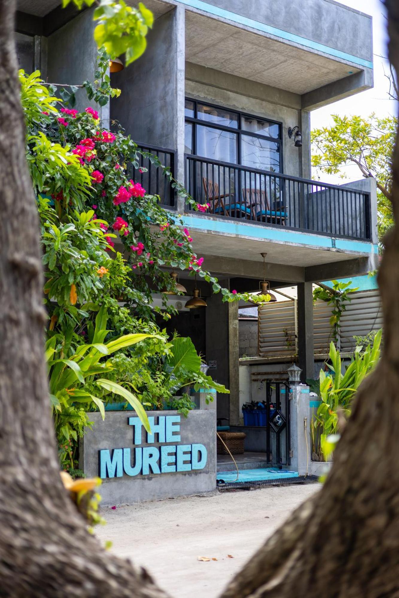 The Mureed